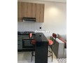 bel-appartement-meuble-2-pieces-a-france-ville-small-2