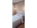 bel-appartement-meuble-2-pieces-a-france-ville-small-4