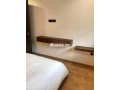 bel-appartement-meuble-2-pieces-a-france-ville-small-6