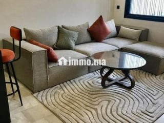 bel-appartement-meuble-2-pieces-a-france-ville
