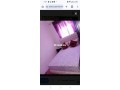 shk-llkraaa-alyomy-small-3