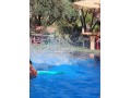 bungalows-pour-2-a-4-avec-piscine-12km-du-centre-small-0