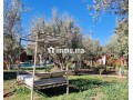 bungalows-pour-2-a-4-avec-piscine-12km-du-centre-small-16