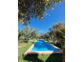 bungalows-pour-2-a-4-avec-piscine-12km-du-centre-small-6