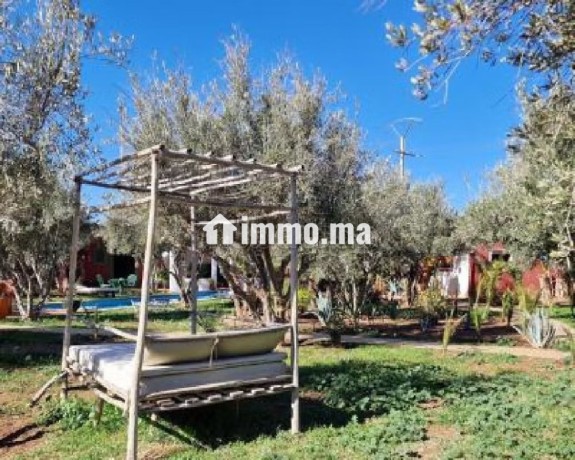 bungalows-pour-2-a-4-avec-piscine-12km-du-centre-big-16