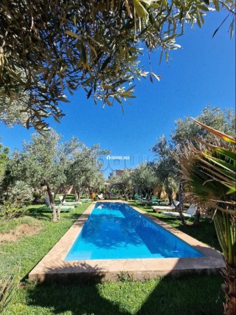 bungalows-pour-2-a-4-avec-piscine-12km-du-centre-big-6