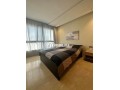 top-studio-palmier-small-11