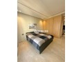 top-studio-palmier-small-7