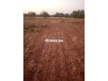 terrain-agricol-titre-8-hectare-a-vendre-small-0