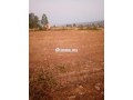 terrain-agricol-titre-8-hectare-a-vendre-small-1
