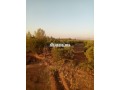 terrain-agricol-titre-8-hectare-a-vendre-small-3