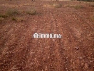 terrain-agricol-titre-8-hectare-a-vendre