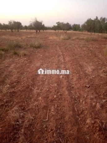 terrain-agricol-titre-8-hectare-a-vendre-big-0