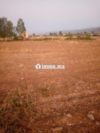 terrain-agricol-titre-8-hectare-a-vendre-big-1