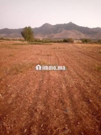 terrain-agricol-titre-8-hectare-a-vendre-big-2