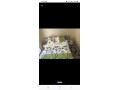apparemment-bien-meuble-et-bien-situemoldar-small-0