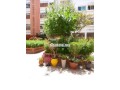 apparemment-meuble-a-louer-small-9