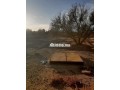 ard-llbyaa-maa-alblan-obyr-small-5