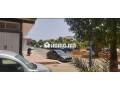 magasin-avec-cave-small-2