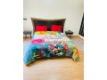 appartpropre-et-jolie-a-louer-small-11