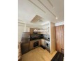 studio-meuble-a-louer-belvedere-small-2