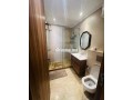 studio-meuble-a-louer-belvedere-small-3