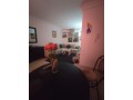 appartements-a-louer-a-sidi-abdellah-surface-totale-80-m2-porte-blindee-securite-small-2