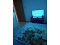 appartements-a-louer-a-sidi-abdellah-surface-totale-80-m2-porte-blindee-securite-small-4