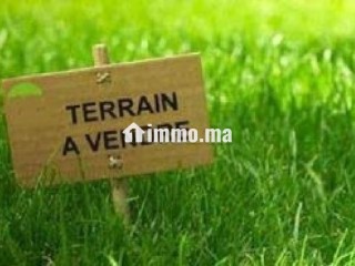 dar-bouazza-terrain-en-vente-a-oued-merzeg-226-m2
