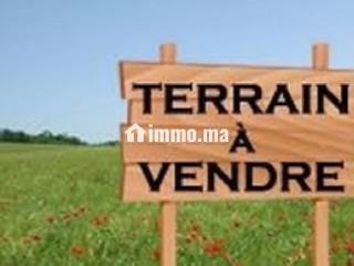 Dar bouazza, terrain en vente à Oued merzeg 226 m² - Villa à vendre