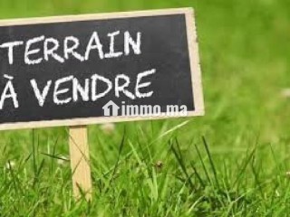 Dar bouazza, terrain en vente à Oued merzeg 226 m² - Villa à vendre