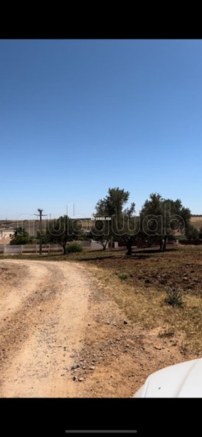 Fes, route de sefrou terrain en vente villa 2525 m² - Vente Immobilier - Fes - photo 7