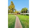 villa-luxueux-6-chambres-a-vendre-souissi-rabat-small-3