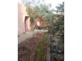 tres-belle-maison-avec-jardin-et-terrasse-small-1