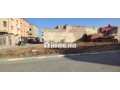 dal-arui-nador-small-0