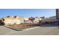 dal-arui-nador-small-1