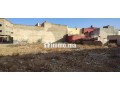 dal-arui-nador-small-3
