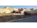 dal-arui-nador-small-5