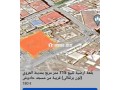 dal-arui-nador-small-6