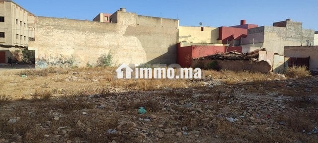 dal-arui-nador-big-3