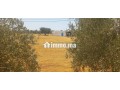 2-hectar-titre-small-3