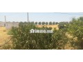 2-hectar-titre-small-4