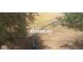 2-hectar-titre-small-6