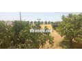 2-hectar-titre-small-7