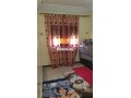 shk-mshmsh-fy-mkan-hady-small-6