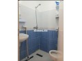 shk-aaayly-kryb-mn-asoak-alslam-small-7