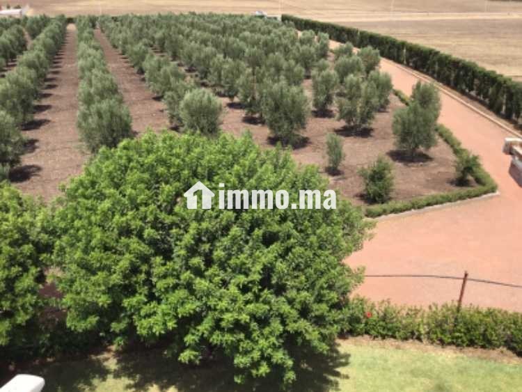 Ferme à vendre - Vente Immobilier - Casablanca - photo 3