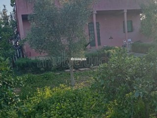 Ferme à la vente à Sidi Allal El Bahraoui.
Surface de 10000 m² - Terrain à vendre