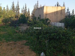 Ferme à la vente à Sidi Allal El Bahraoui.
Surface de 10000 m² - Terrain à vendre