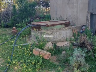 Ferme à la vente à Sidi Allal El Bahraoui.
Surface de 10000 m² - Terrain à vendre